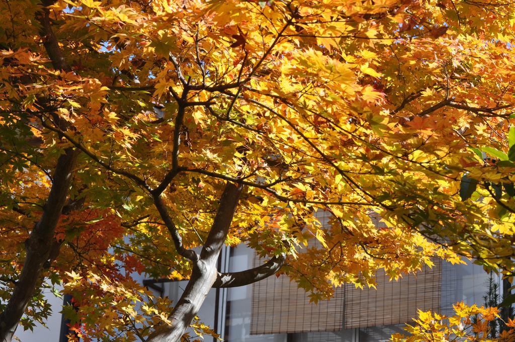 Yudanaka Yumoto Hotel Yamanouchi  Exterior foto